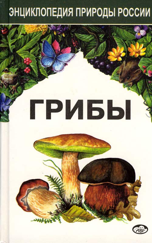 Первая страница обложки книги "Грибы"