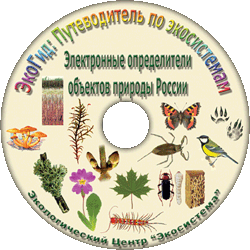 Компьютерный определитель ягод и других дикорастущих сочных плодов России: диск для PC
