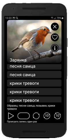 Приложение 'Манок на птиц: птицы Европы - песни, позывки, голоса птиц' для смартфонов и планшетов Андроид / Android загрузить из Google Play / Play Market бесплатно