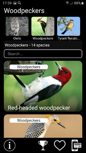     :    - Birds of North America: Songs, Calls & Decoys -       Woodpeckers