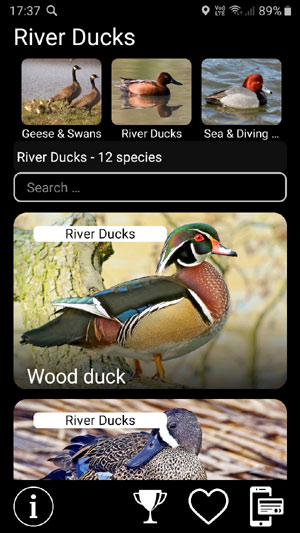     :    - Birds of North America: Decoys -        River ducks