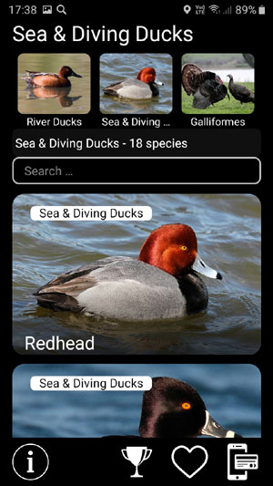     :    - Birds of North America: Decoys -          Sea & Diving ducks