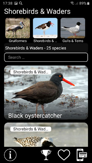Mobile field Guide app Birds of North America: Decoys - Shorebirds and Waders