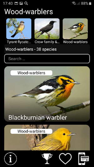     :    - Birds of North America: Decoys -       Wood warblers