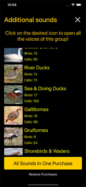     :    - Birds of North America: Decoys -     Sounds Purchase