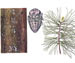 Хермес сосновый - Pineus strobi