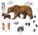 Бурый медведь - Ursus arctos