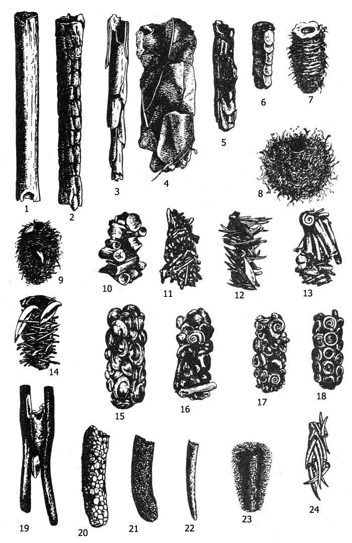 . 4.   : 1 -  (Agripnia pagetana), 2 - ,    (Phryganea grandis), 3 - Grammotaulius nitidus, 4, 5 - Glyphotaelius pellucidus, 6 - Platypteryx brevipennis, 7 -  (Limnephilus stigma), 8-18 -  (Limnephilus rhombicus  Limnephilus flavicornis), 19 -  (Anabolia nervosa), 20 -  (Stenophylax stellatus), 21 -  (Stenophylax rotundipennis), 22 -  (Limnephilus vitattus), 23 -  (Molanna angustata), 24 -  (Goera pilosa)