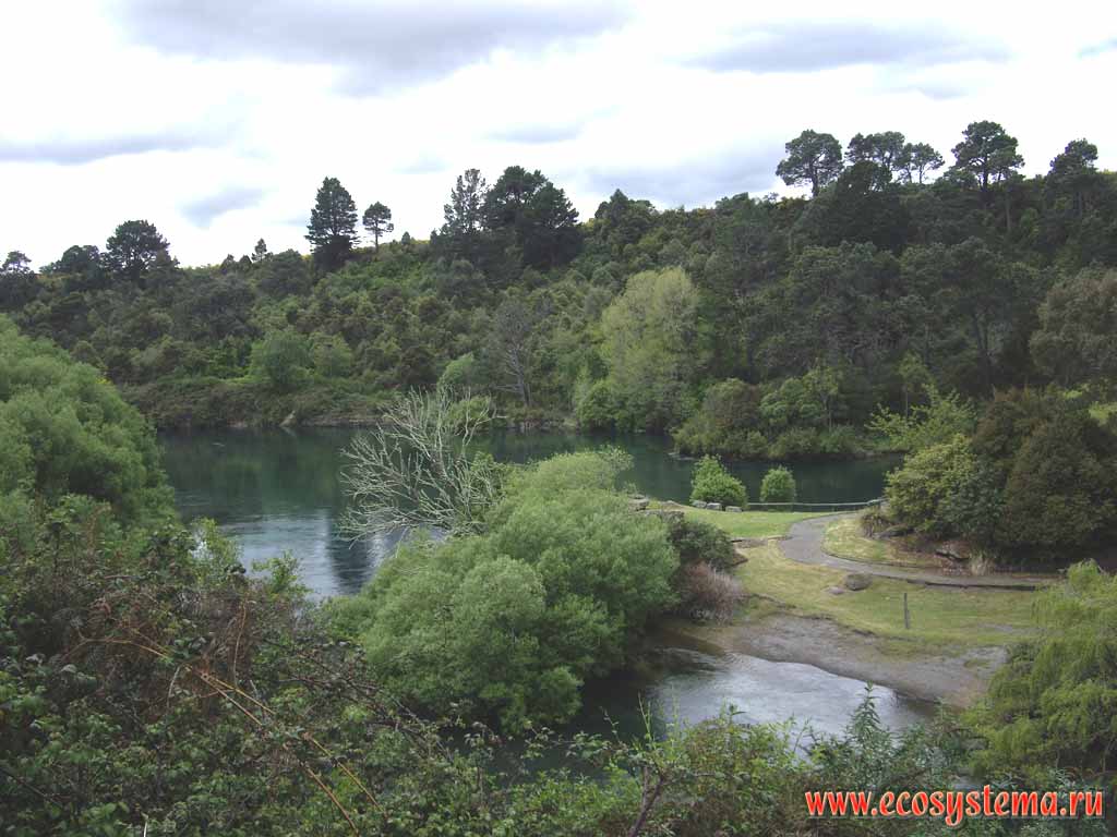   (Waikato River),    
( --,  ,  )