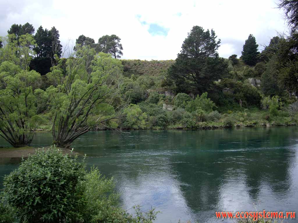   (Waikato River),    
( --,  ,  )