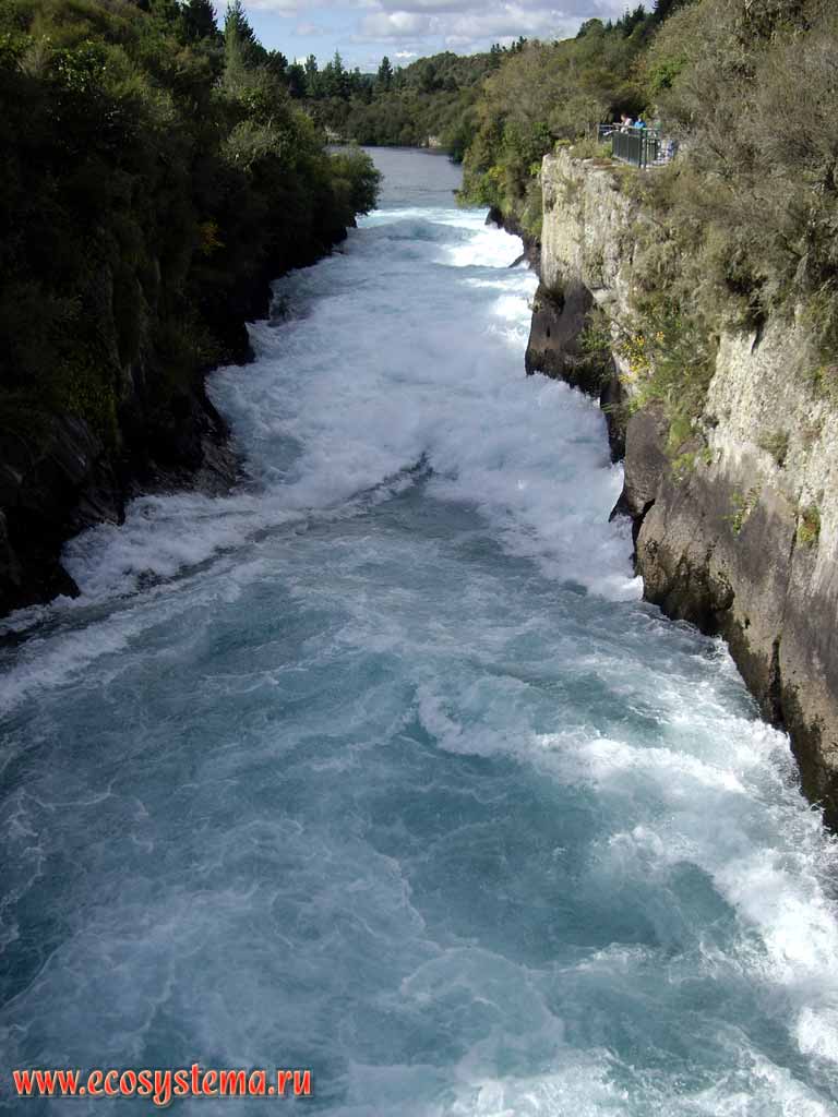   (Waikato River),   ,    
( --,  ,  )