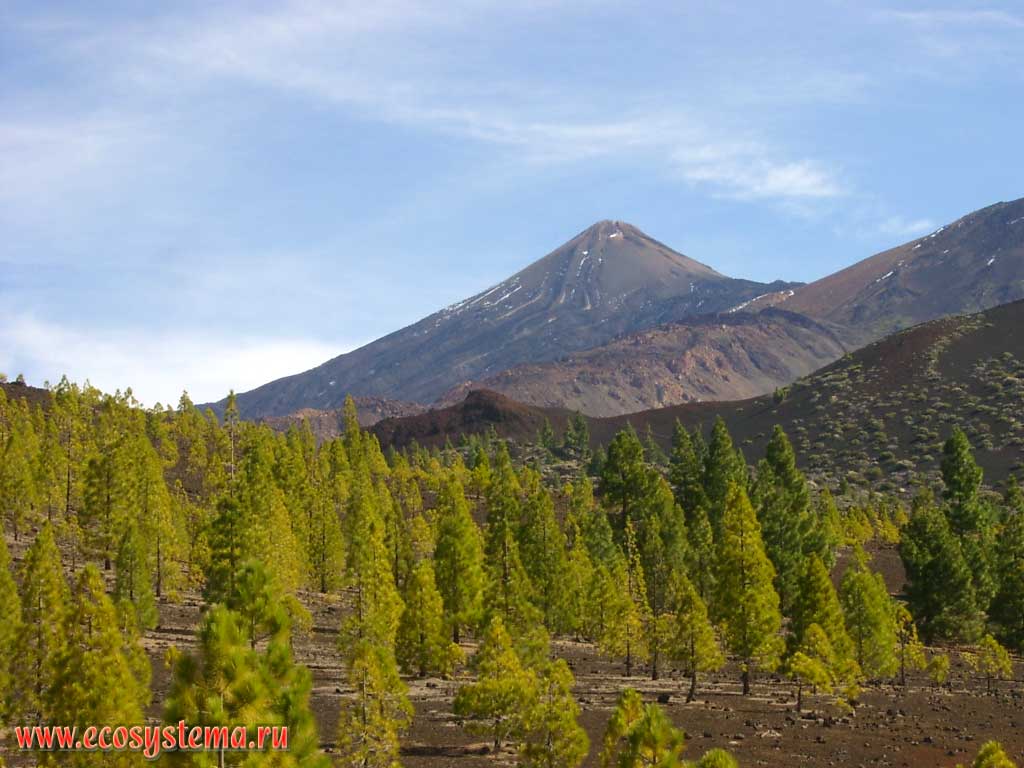       .
       (Pico del Teide  3718  ...) 
     .
     (2000-2500    )