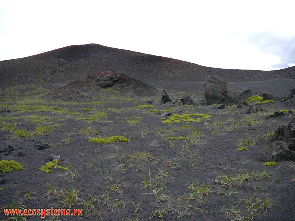 Volcanic scoria crater plug (stopper). Taketomi volcano at Atlasov Island