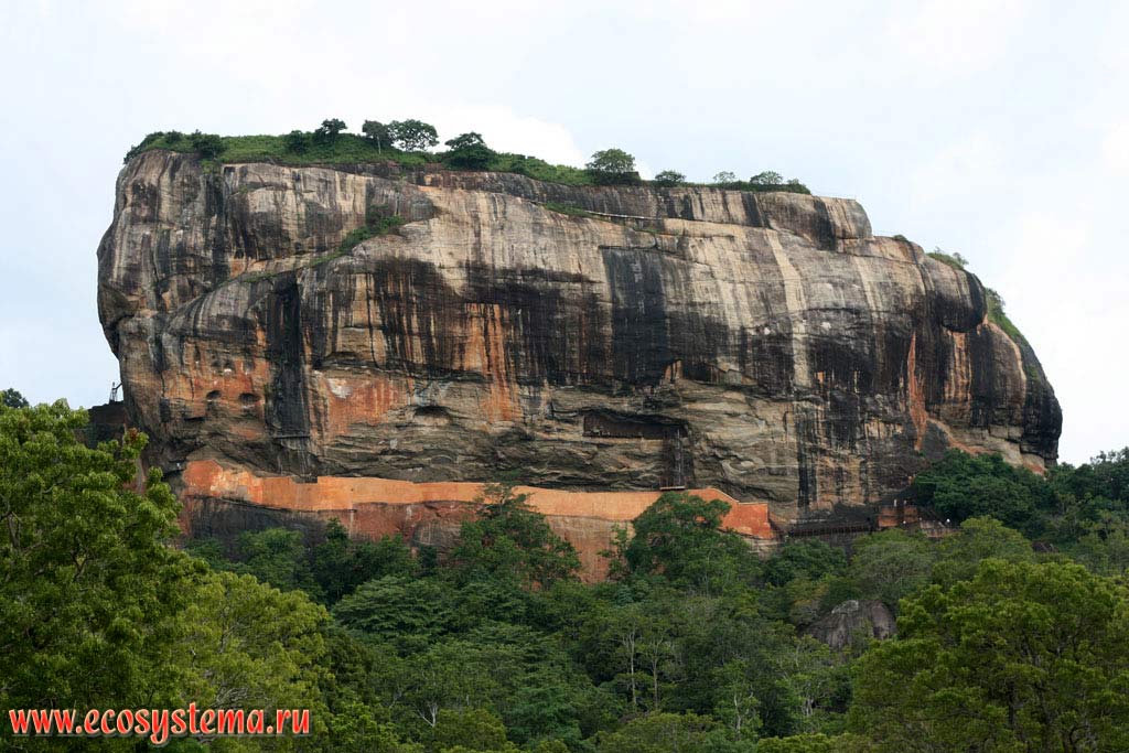 Sigiriya (Lion's rock)  rocky plateau, residual-mountain 370 meters height over the surrounding country. Sri Lanka Island, Central Province, Matala area