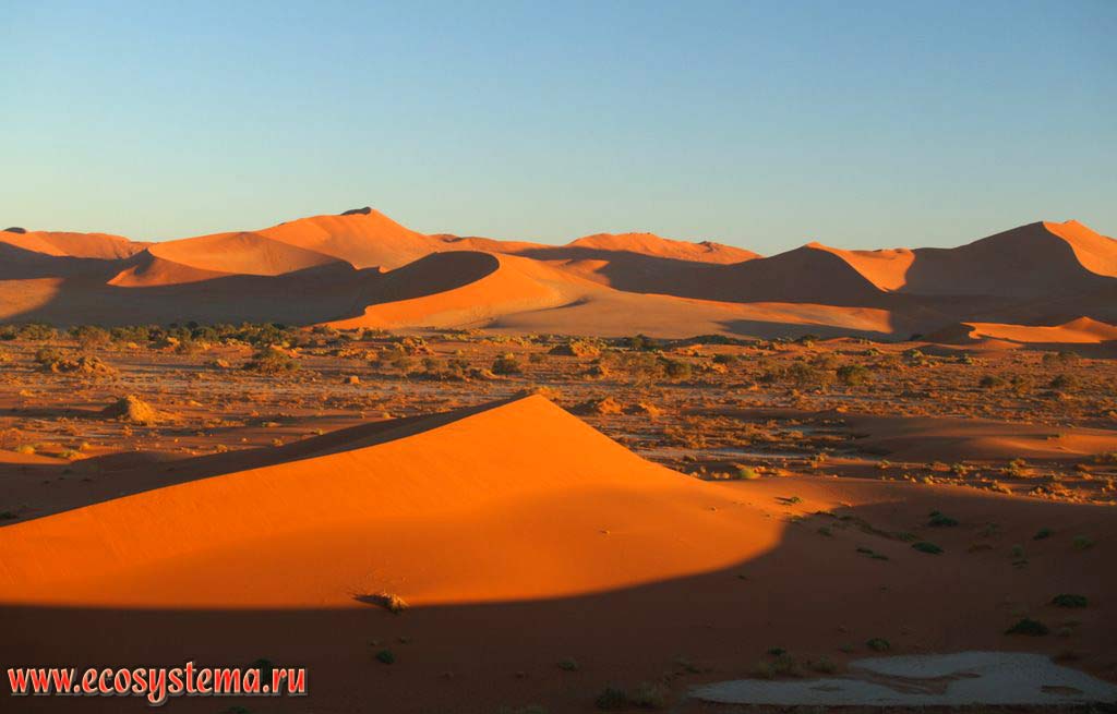 Typical desert sandy dunes: windward (exposed to the wind) slope at the right, leeward (lee side) at the left (in the shadow). Sossusvlei red dunes, Namib Desert,
Namib-Naukluft National Park, South African Plateau, Central Namibia