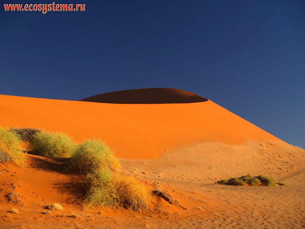 The typical desert sandy dune structure: the windward (exposed to the wind) slope at the right (on the sun) and leeward (lee side) slope (where wind-borne sediments are
accumulated) at the left (in the shadow). Sossusvlei red dunes, Namib Desert, Namib-Naukluft National Park, South African Plateau, Central Namibia