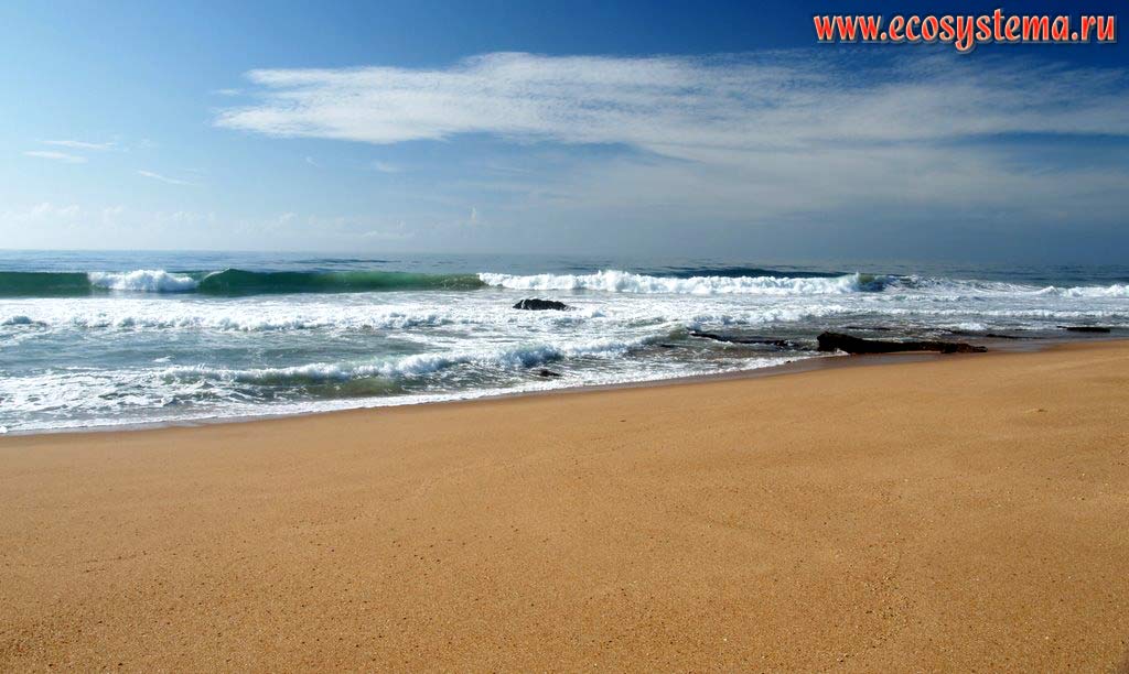 Sandy beach on the Indian Ocean shore. Blythedale Beach resort, The Dolphin Coast, KwaZulu-Natal Province, or The Zulu Kingdom,
South African Plateau, South African Republic near the border with Lesoto