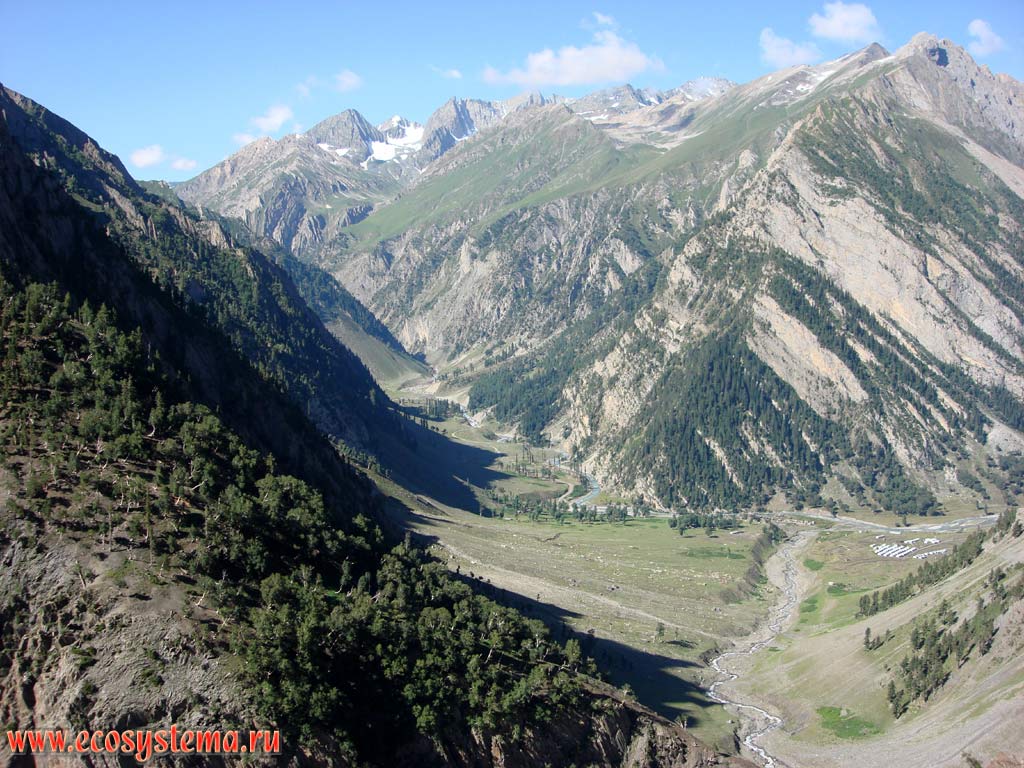 Altitudinal zonation in the Great Himalayas: coniferous forest (Himalayan cedar, fir)  juniper woodlands - Alpine Meadows - Alpine Desert - nival belt from altitudes of 2,500 to 4,500 m above sea level. Himachal Pradesh, Northern India