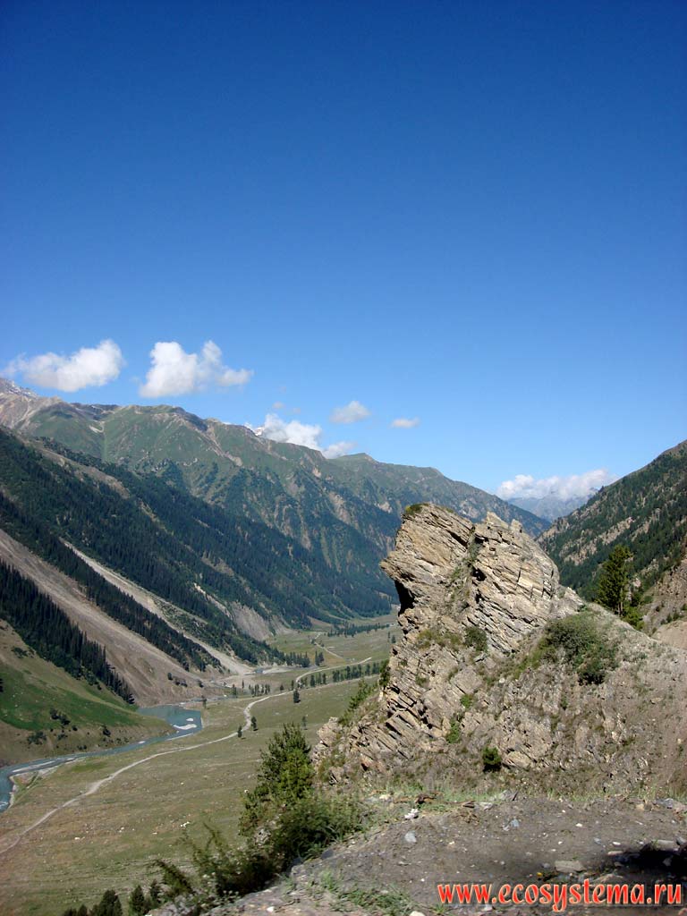 River Valley in the Great Himalayas, with altitudinal zones (belts) of coniferous forests to alpine meadows at elevations from 2,500 to 4,000 m above sea level. Himachal Pradesh, Northern India