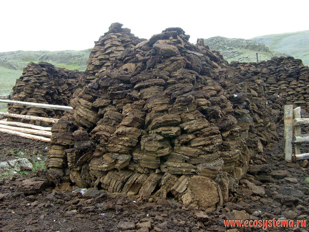 Blanks dung - dried sheep manure used as fuel and for building and repairing the shed. Kosh-Agach District, Altai Republic