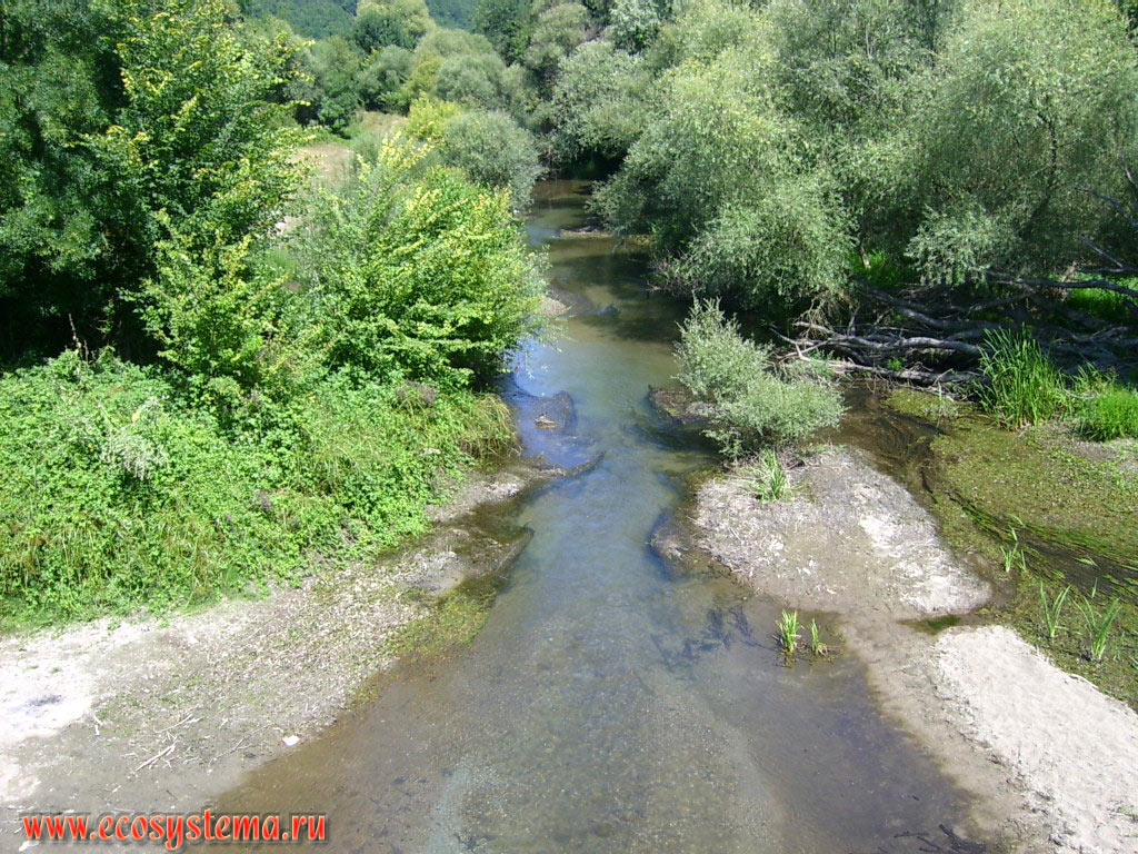 A small river, surrounded by deciduous forest in the low-mountain massif Strandzha. Natural Park 