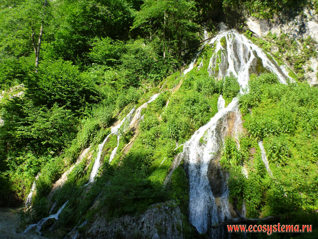 A small picturesque branched waterfall in the valley of the mountain river Fiagdon in the area of deciduous forests in the foothills of the Greater Caucasus