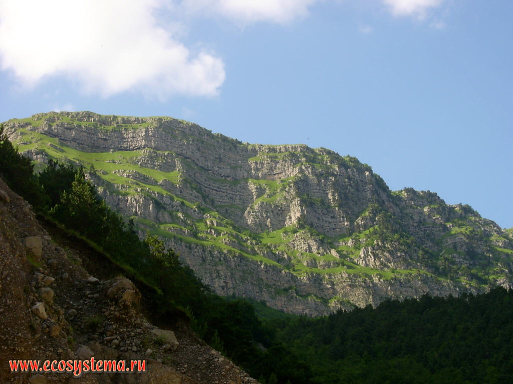 Natural outcrop and horizontal stratification on the slopes of the mountains in the valley of the river Fiagdon in the foothills of the Greater Caucasus