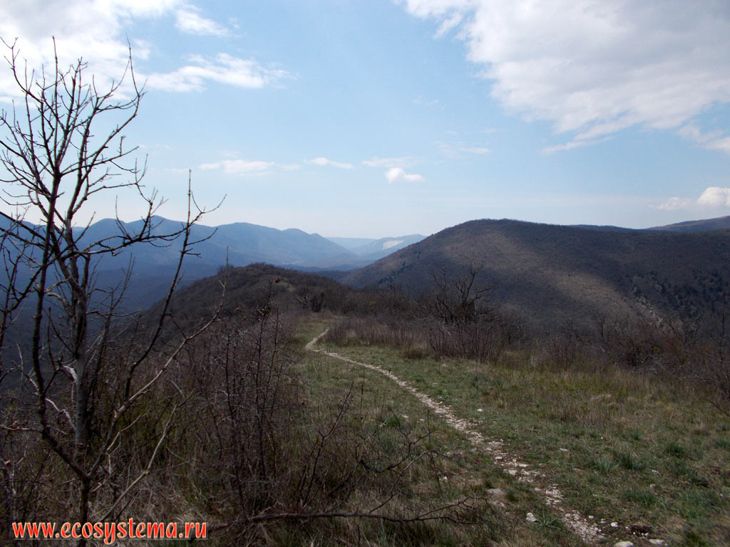 Hiking trail, laid on a flat top of the mountain range in the foothills of the North-Western Caucasus Mountains, covered with the broad-leaved deciduous forests with predominance of Beech (Fagus) and Oak (Quercus)