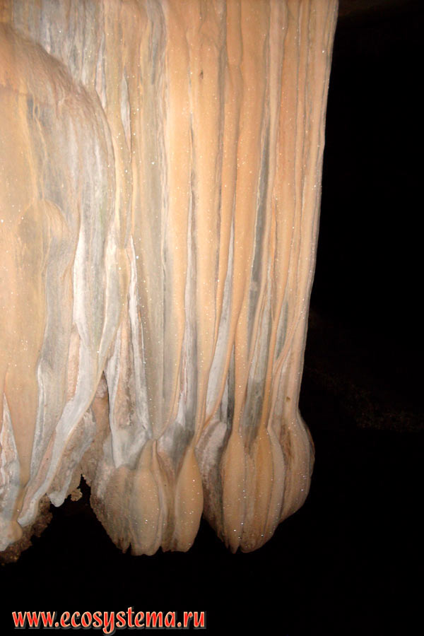 Young growing stalactites in the Crocodile Cave in the North of Tarutao Island (Ko Tarutao)