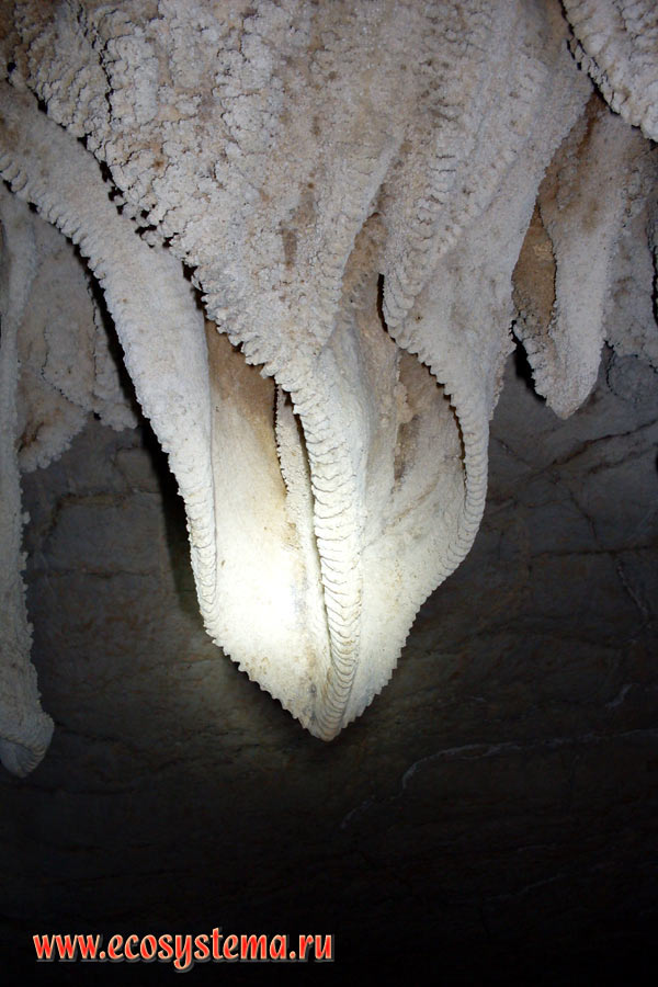  ()    -     (Crocodile Cave)     (Ko Tarutao)