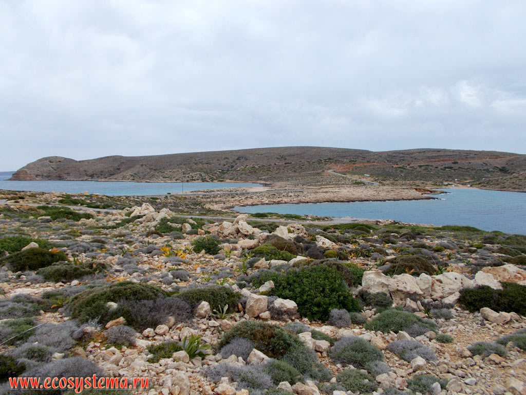 The narrow isthmus connecting the extreme North-Eastern cape Sideros with the Sitia Peninsula on the North-Eastern tip of the island of Crete, as well as phrygana (garrigue) - a sparse plant community with predominance of low-growing, mainly evergreen xerophytic shrubs, subshrubs and dwarf shrubs