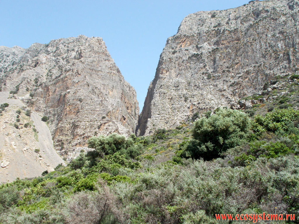 Ha Gorge (Ha canyon) in its lower part (exit from the canyon) on the slopes of the Thrypti, or Sitia mountains in the Eastern part of the island of Crete