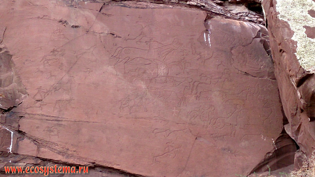 Shaman-stone - a sample of rock art of the bronze age (the border between 2 and 1 millennium BC) - a plate of red sandstone 2.5 x 4 meters with 162 recognized images (34 daggers, 55 circles and spirals, 54 figures of ungulates, 4 human figures, 2 faces and 2 wheeled vehicles)