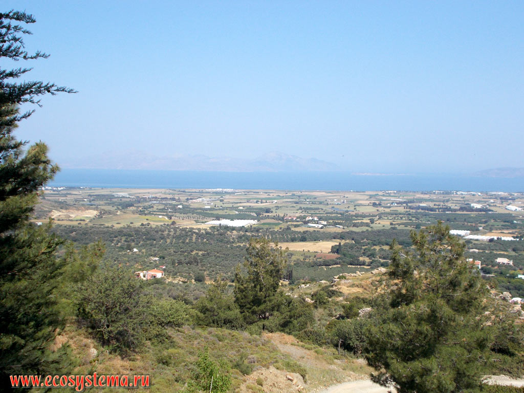 View of the Northern coast of the island of Kos, the Aegean Sea and the Dodecanese Islands Kalymnos and Pserimos of the Southern Sporades archipelago from the slopes of the mountain range Dikeos
