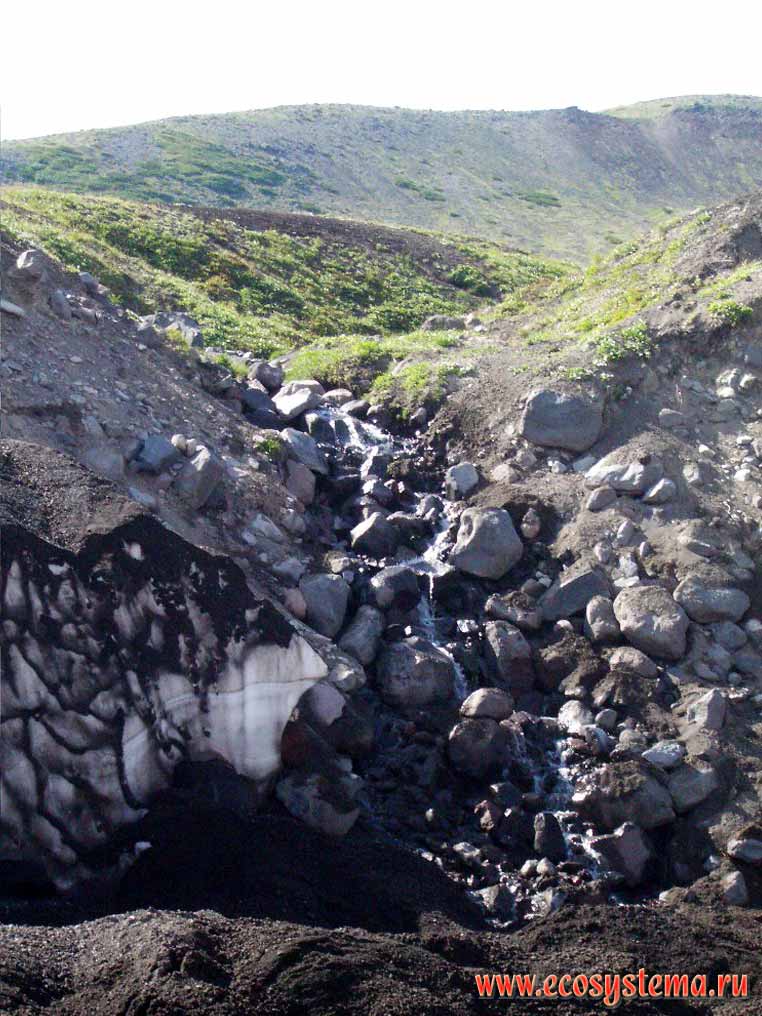 Snowfield in the mountain creek, covered by volcanic ashes
Avachinsky volcano basement (900  above sea level)