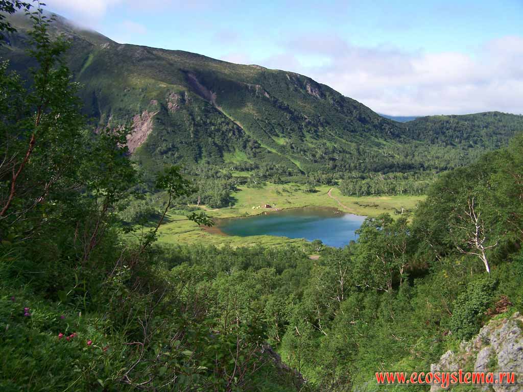 Vochkazhec Lake (600  above sea level). Erman's Birch forest (Betula ermanii Cham.)
on the nearest mountain slope
