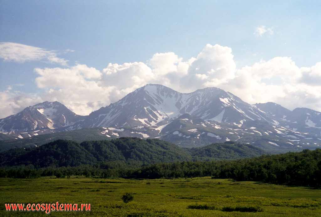 Arik (2310 , left) and Aag (2166 , right) volcanoes from Nalychevskaya Valley