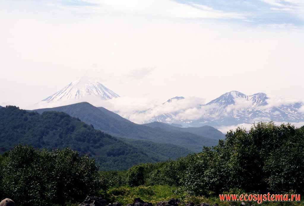 Koriaksky volcano (3456 , right), Arik (2310 ) and Aag (2166 ) volcanoes
from Nalychevskaya Valley