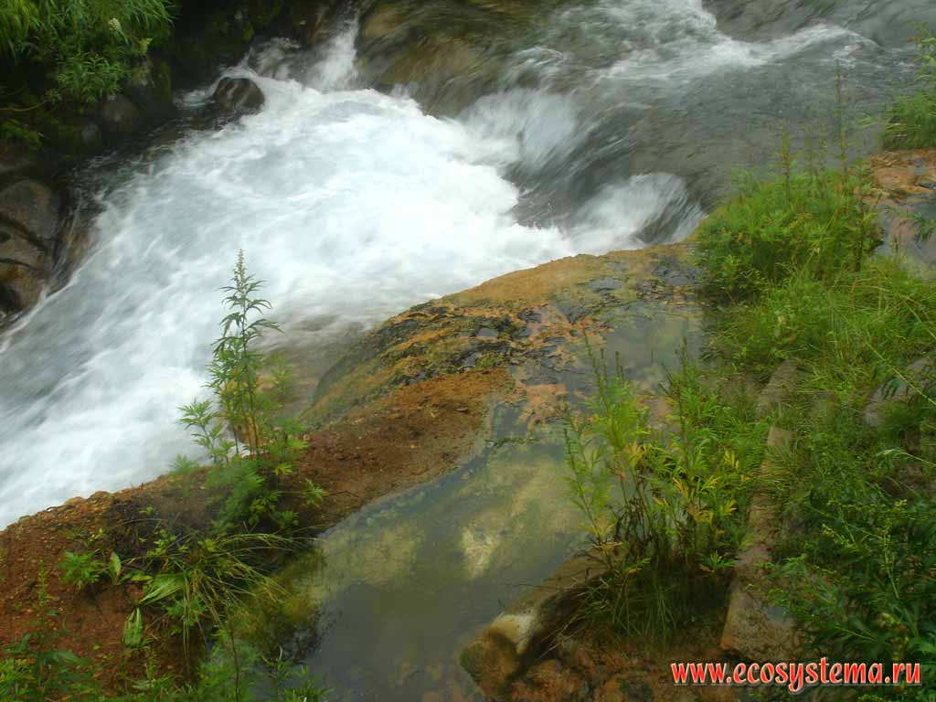 Mountain creek in the Timonovskiy Hot Springs area
