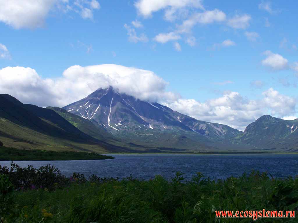 Viluchinskaya Bay. Viluchinsky volcano (height 2175 ) in the distance