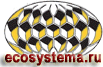 Association Ecosystem (Internet site www.systm.ru)